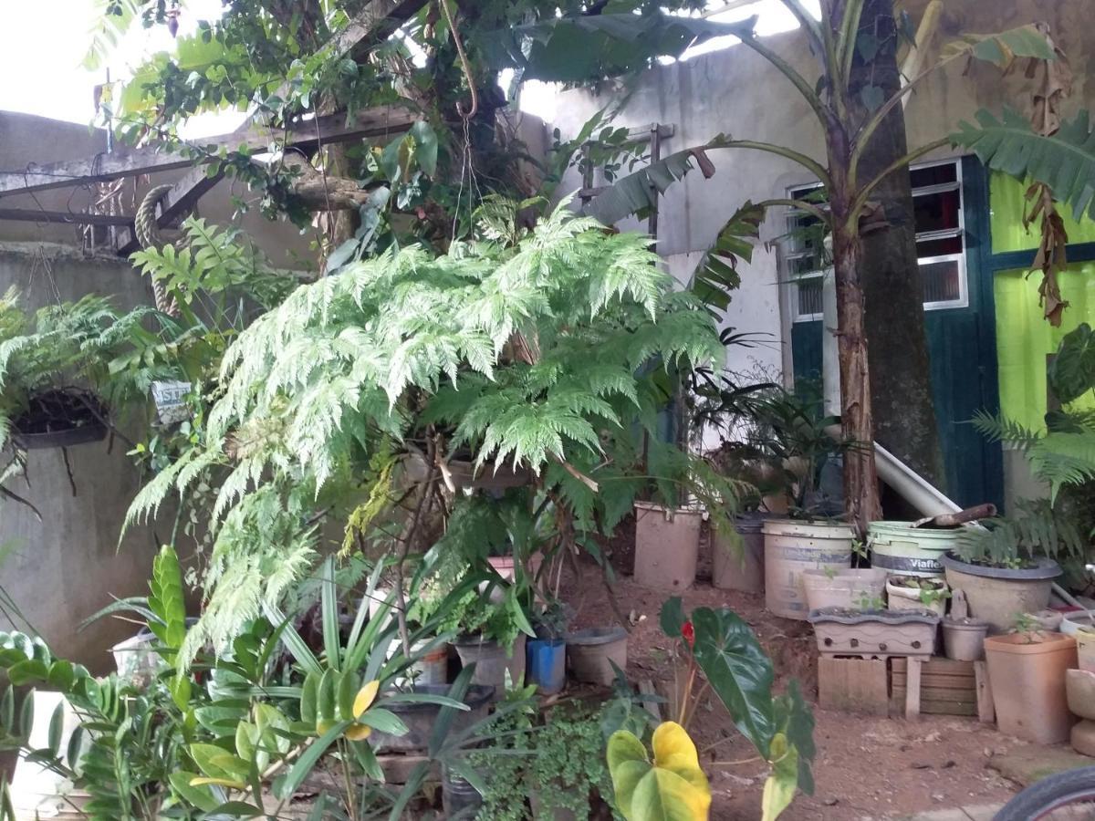 ריו דאס אוסטרס Hostel El Caleuche מראה חיצוני תמונה